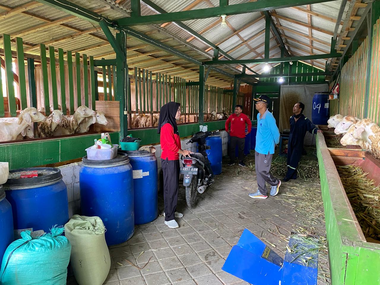 Kunjungan Camat Ngambon ke Kampung Ternak Desa Sengon Dorong Inovasi Peternakan Desa